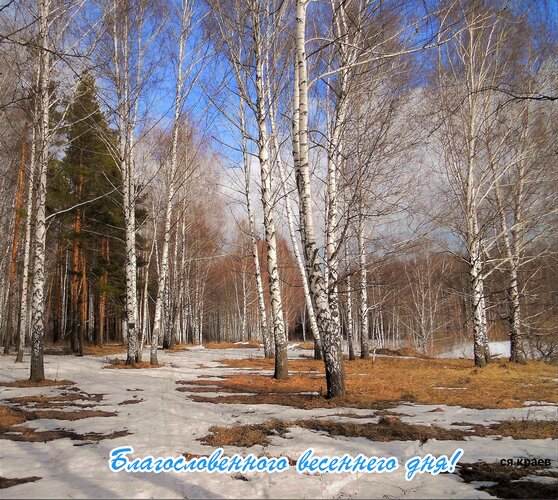 Открытка Благословенного весеннего дня!
