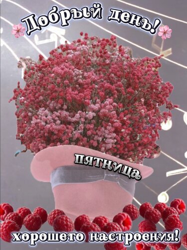 Открытка Добрый день! Пятница