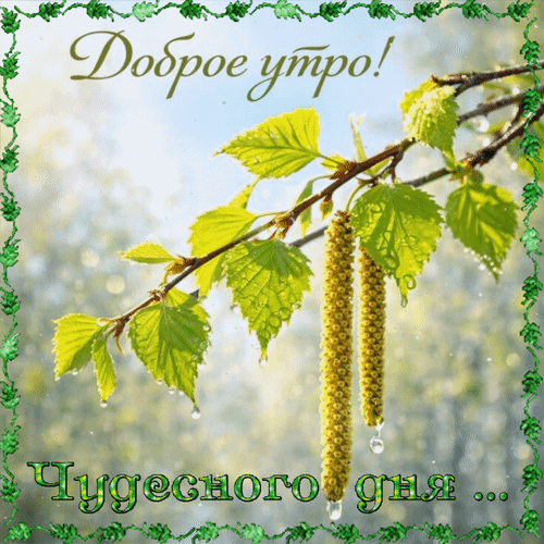 Анимированная открытка Доброе утро! Чудесного дня...