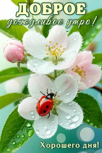 Открытка ДОБРОЕ ДОЖДЛИВОЕ УТРО! ХОРОШЕГО ДНЯ!