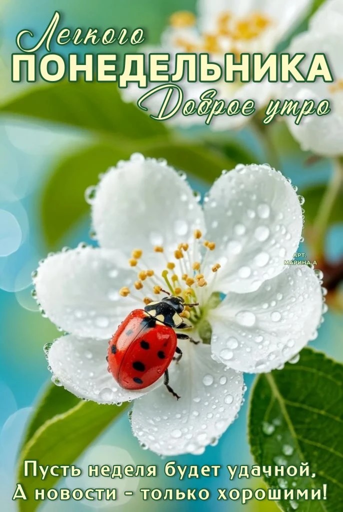 Открытка ЛЕГКОГО ПОНЕДЕЛЬНИКА! ДОБРОЕ УТРО. ПУСТЬ НЕДЕЛЯ БУДЕТ УДАЧНОЙ, А НОВОСТИ - ТОЛЬКО ХОРОШИМИ!