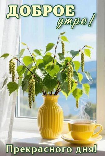 Открытка ДОБРОЕ УТРО! ПРЕКРАСНОГО ДНЯ!