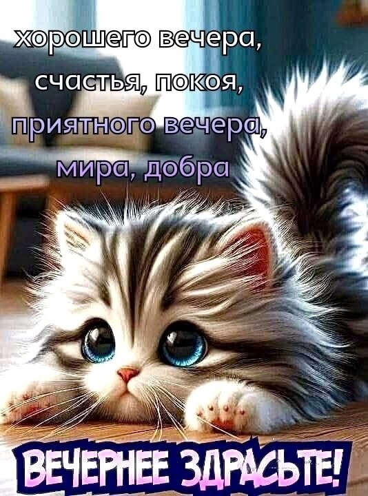 Открытка вечернее здрасьте