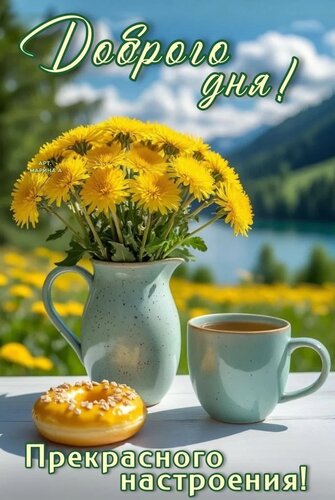 Открытка Доброго ДНЯ! Прекрасного Настроения!