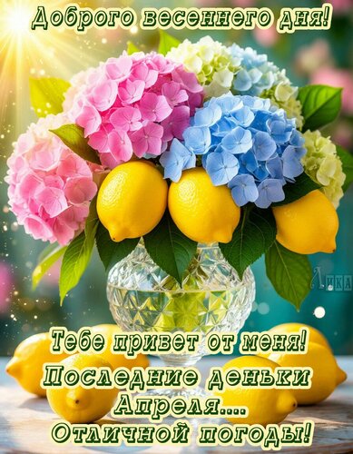 Открытка Добрый день