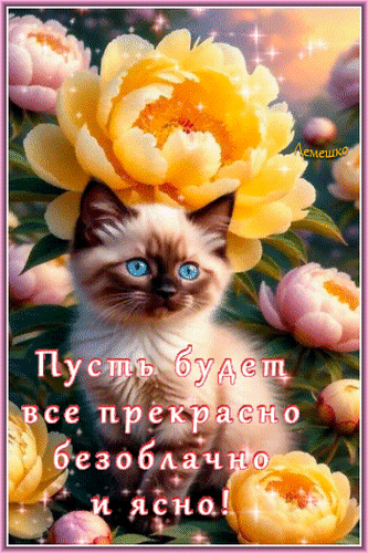 Анимированная открытка Пусть будет все прекрасно безоблачно и ясно!