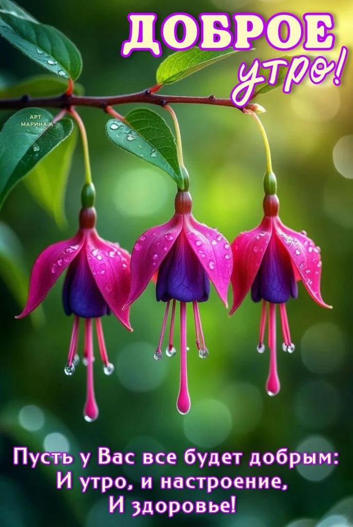 Открытка ДОБРОЕ УТРО! ПУСТЬ У ВАС ВСЕ БУДЕТ ДОБРЫМ: И УТРО, И НАСТРОЕНИЕ, И ЗДОРОВЬЕ!
