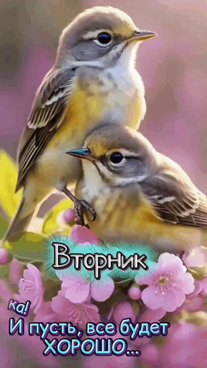 Анимированная открытка Вторник. Отличного денёчка! И пусть все будет хорошо...