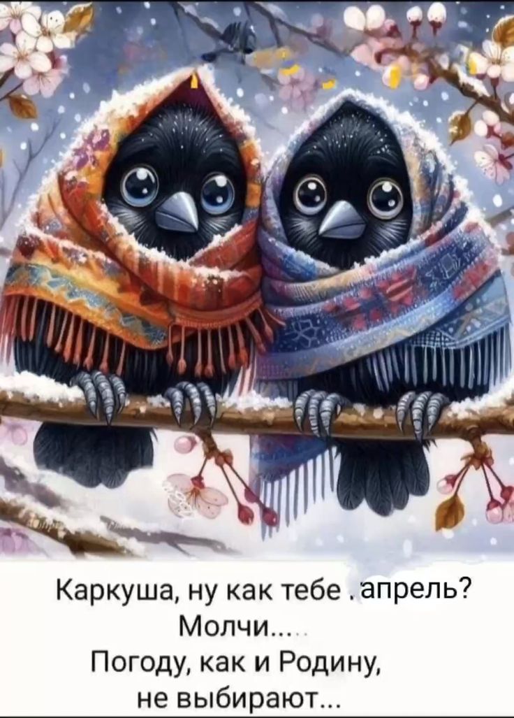 Открытка каркуша ну как тебе апрель