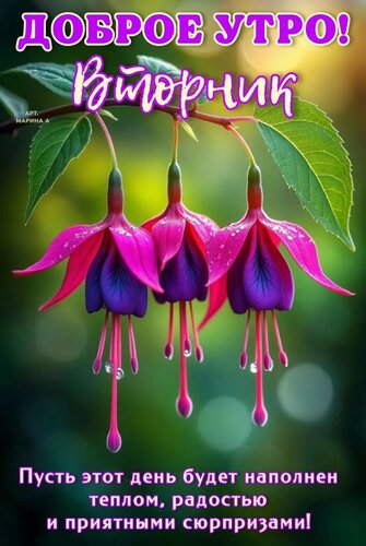 Открытка ДОБРОЕ УТРО! ВТОРНИК. ПУСТЬ ЭТОТ ДЕНЬ БУДЕТ НАПОЛНЕН ТЕПЛОМ, РАДОСТЬЮ И ПРИЯТНЫМИ СЮРПРИЗАМИ!