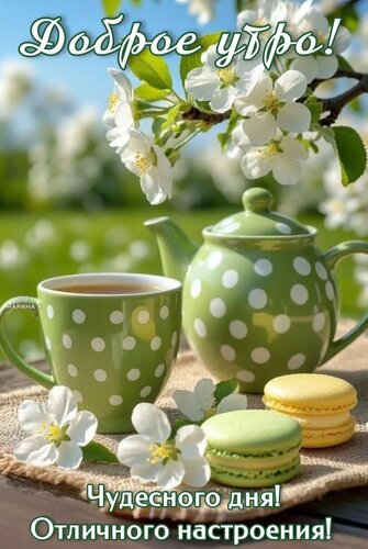 Открытка ДОБРОЕ УТРО! ЧУДЕСНОГО ДНЯ! ОТЛИЧНОГО НАСТРОЕНИЯ!