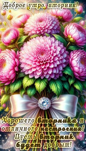 Открытка Утро вторника