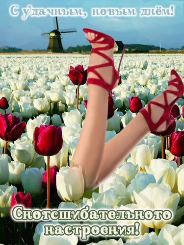 Открытка С удачным, новым днем!