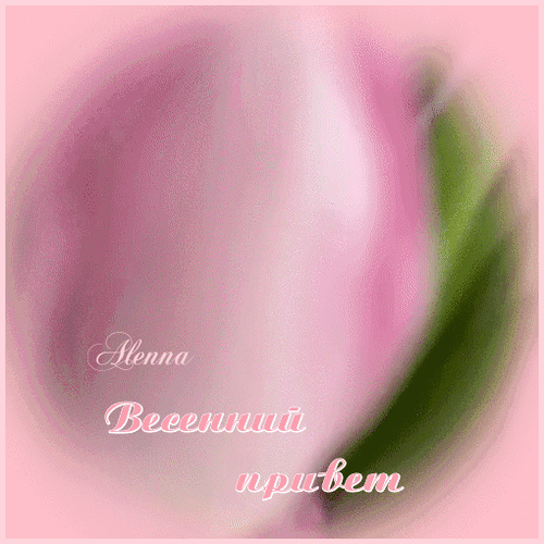 Анимированная открытка весенний привет