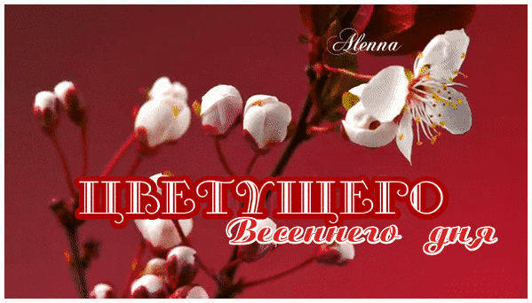 Анимированная открытка цветущего весеннего дня