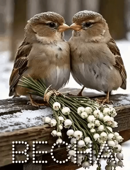 Анимированная открытка Весна