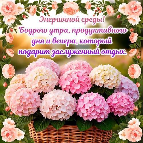 Открытка Энергичной среды! Бодрого утра, продуктивного дня и вечера, который подарит заслуженный отдых.
