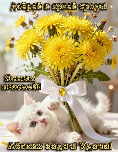 Открытка Добрый день, среда
