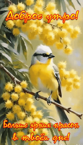 Анимированная открытка Доброе утро! Больше ярких красок в твоём дне!