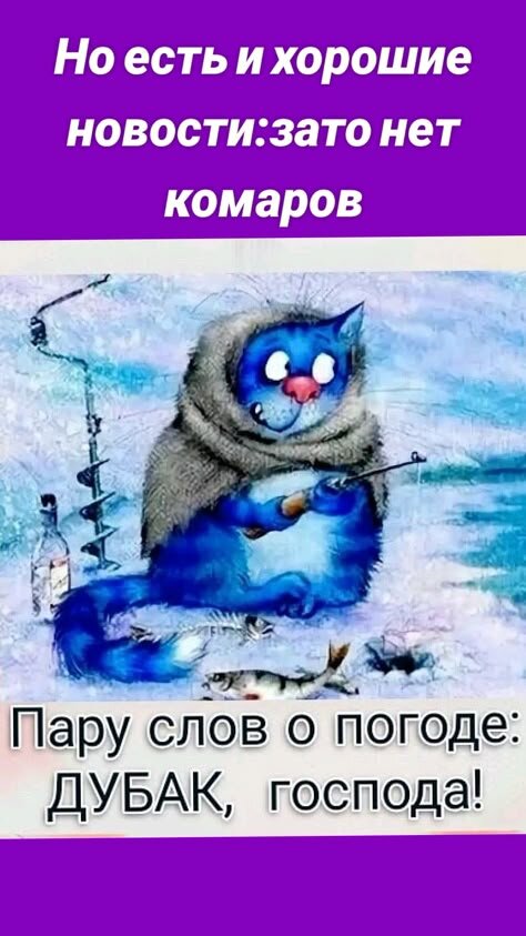 Открытка Дубак