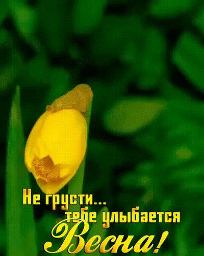 Анимированная открытка Не грусти... тебе улыбается Весна!
