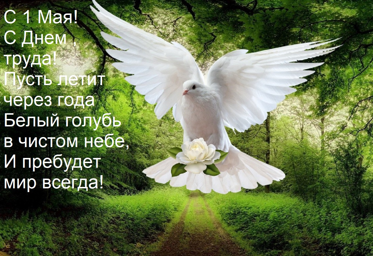 Открытка С 1 Мая! С Днем труда! Пусть летит через года Белый голубь в чистом небе, И пребудет мир всегда!