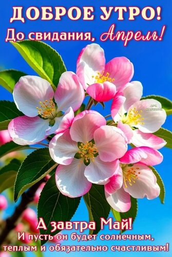 Открытка ДОБРОЕ УТРО! ДО СВИДАНИЯ, АПРЕЛЬ! А ЗАВТРА МАЙ! И ПУСТЬ ОН БУДЕТ СОЛНЕЧНЫМ, ТЕПЛЫМ И ОБЯЗАТЕЛЬНО СЧА