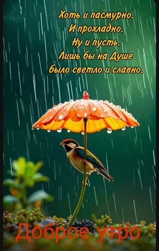 Открытка Доброе утро