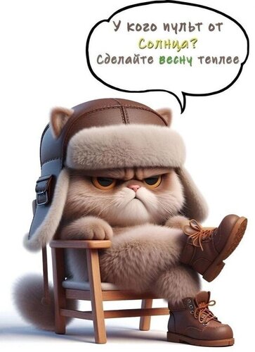 Открытка Юмор. Настроение