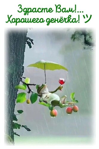 Открытка Здрасте вам
