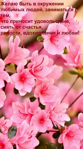 Открытка Желаю быть в окружении любимых людей, заниматься тем, что приносит удовольствие, сиять от счастья,