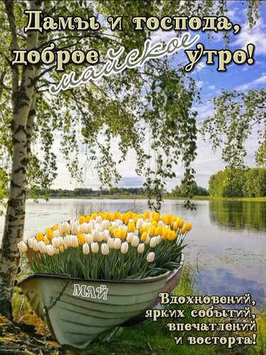 Открытка Дамы и господа! Доброе майское утро!