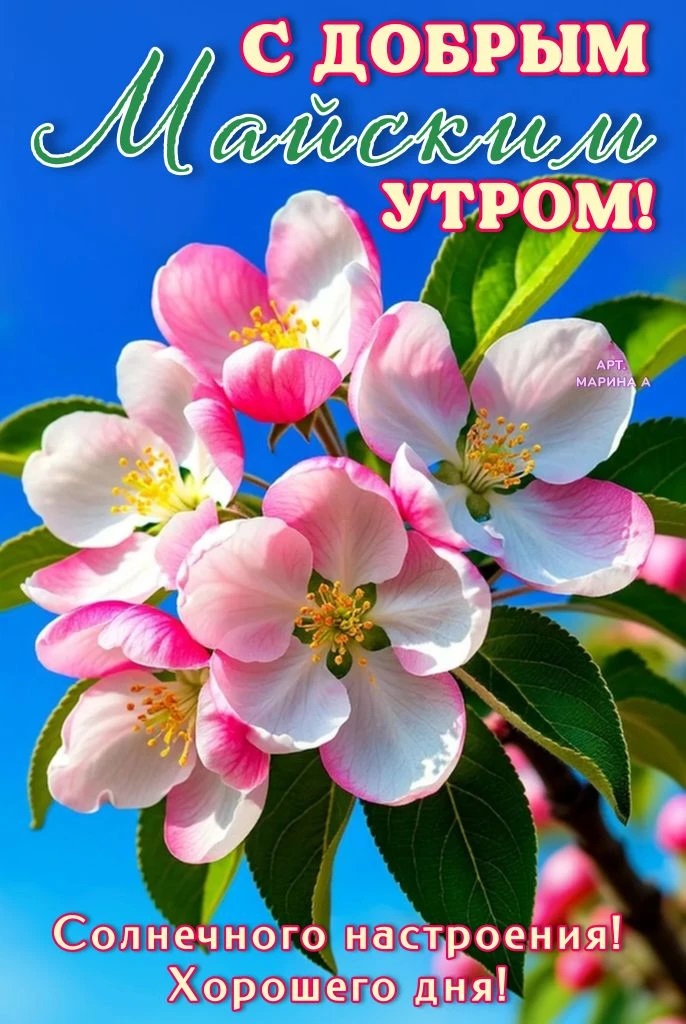 Открытка С ДОБРЫМ МАЙСКИМ УТРОМ! СОЛНЕЧНОГО НАСТРОЕНИЯ! ХОРОШЕГО ДНЯ!