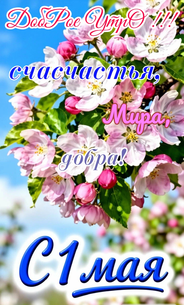 Открытка Доброе утро. Счастья, мира, добра