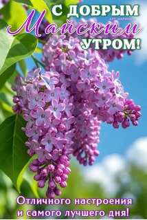 s-dobrym-majskim-utrom-otlichnogo-nastroeniya-i-samogo-luchshego-dnya.jpg?z=121
