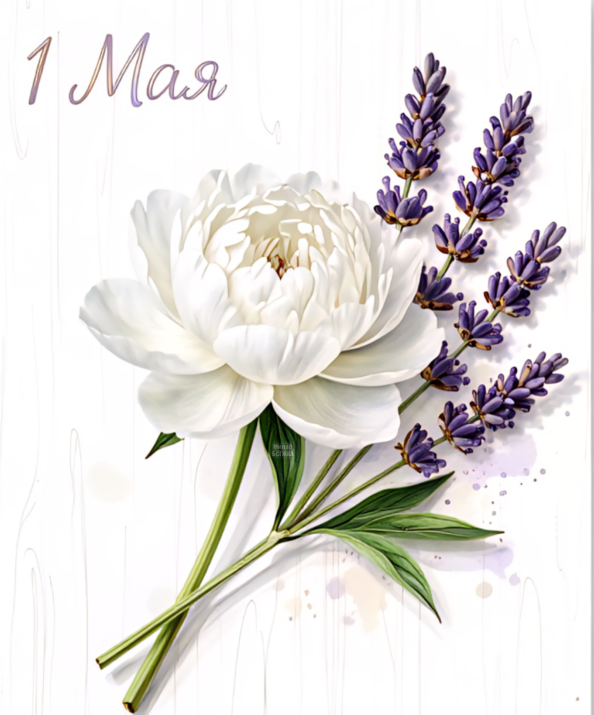 Открытка 1 мая