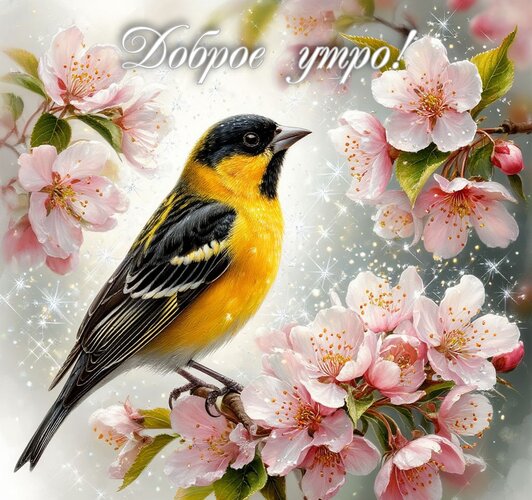 Открытка Доброе утро!
