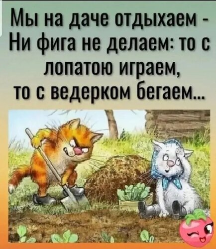 Открытка мы на даче отдыхаем