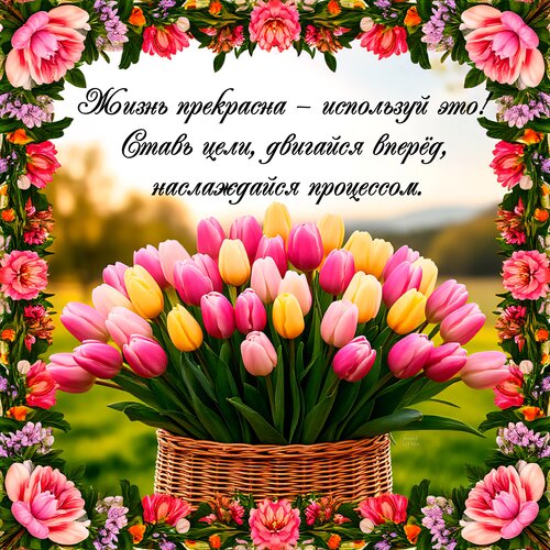 Открытка Жизнь прекрасна — используй это! Ставь цели, двигайся вперёд, наслаждайся процессом.