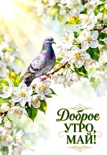 Открытка Доброе утро, май!