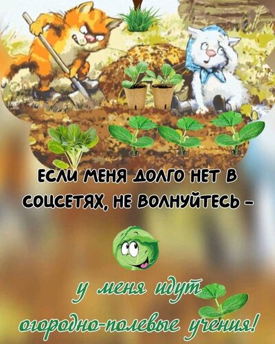 Открытка Огородно- полевые учения