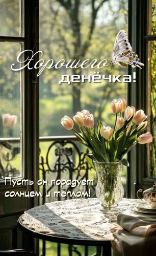 Открытка Пусть он порадует солнцем и теплом!
