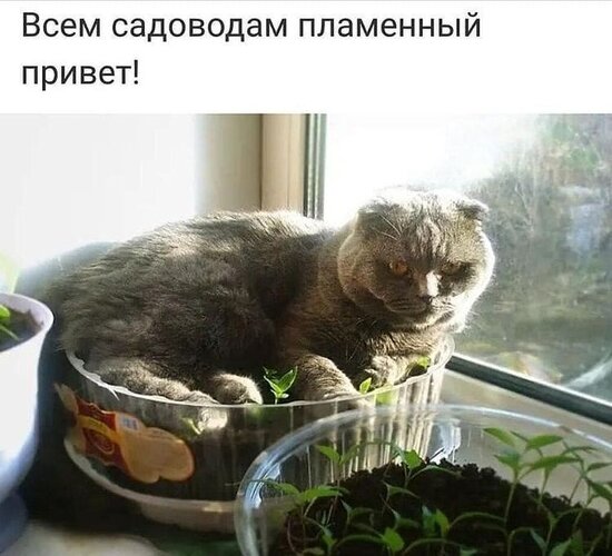 Открытка всем садоводам пламенный привет