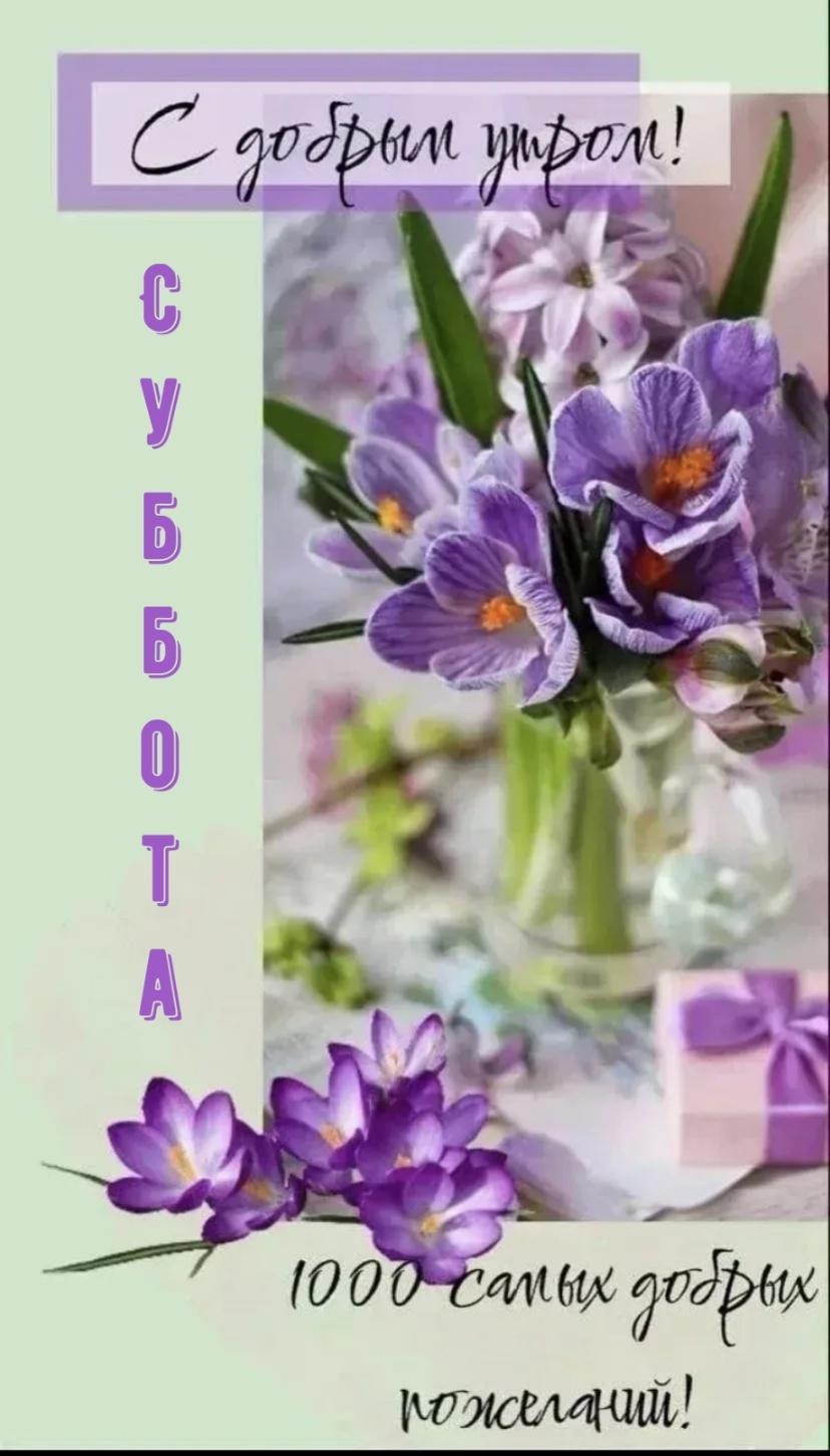 Открытка С добрым утром! 1000 самых добрых пожеланий!
