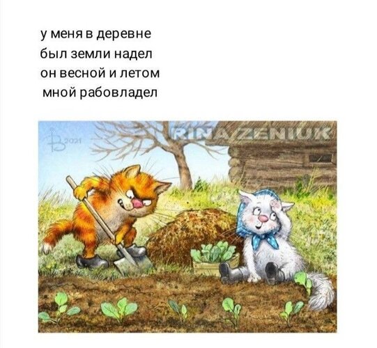 Открытка у меня в деревне был земли надел