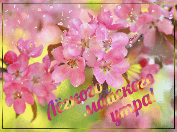 Анимированная открытка Лёгкого майского утра!