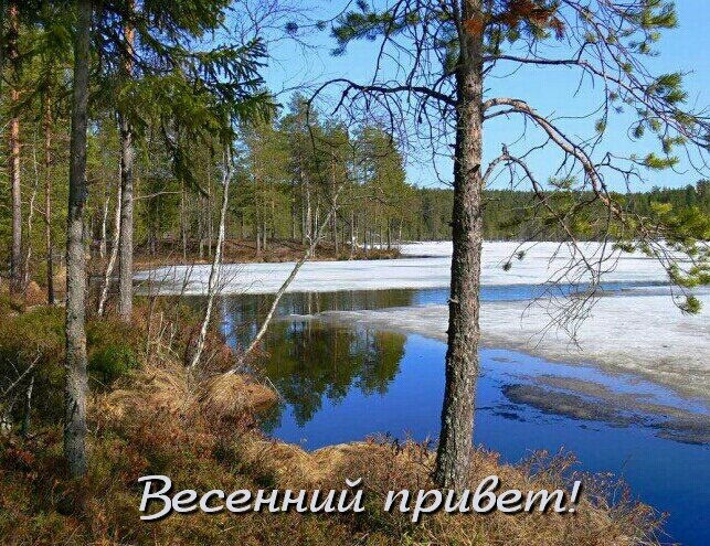 Открытка Весенний привет!