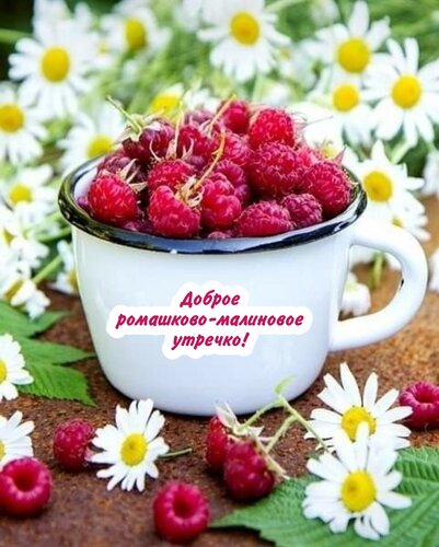 Открытка Доброе ромашково-малиновое утречко!