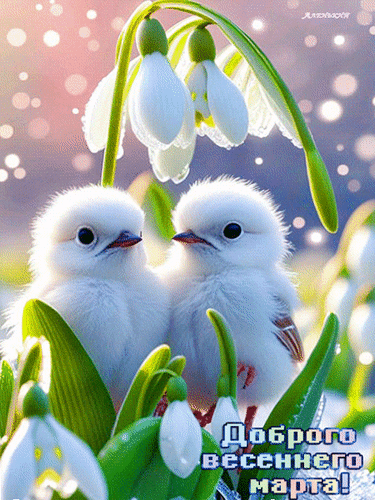 Анимированная открытка Доброго весеннего марта!