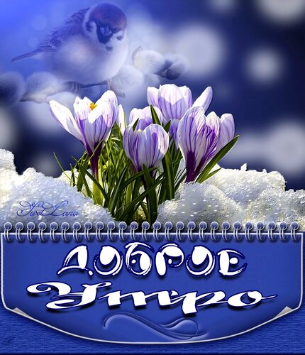 Открытка Доброе утро